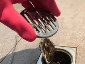 Thông Cống Nghẹt Tại Xã Tân Thới Cần Thơ 2 42 1